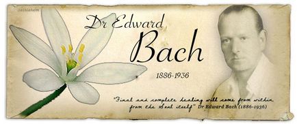 Bach Essences flori (întărirea sistemului nervos) Bach Flower Essences