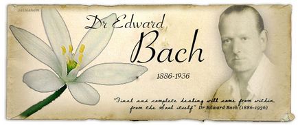 Bach Flower Essences