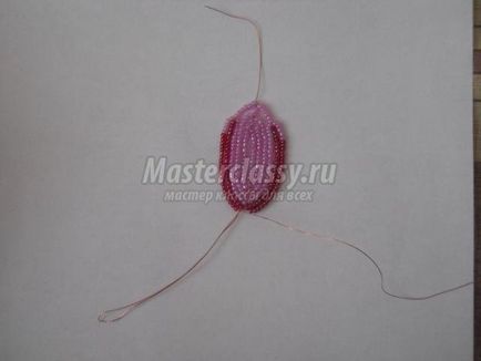 Blooming cactus margele cu mâinile lor (lor) Blooming cactus Bead propriile mâini