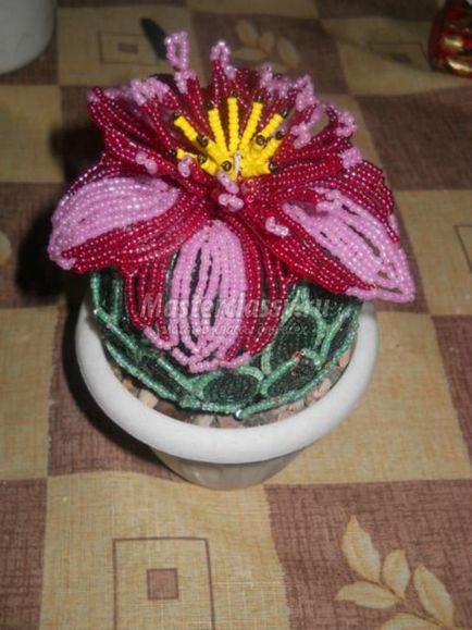 Blooming cactus margele cu mâinile lor (lor) Blooming cactus Bead propriile mâini