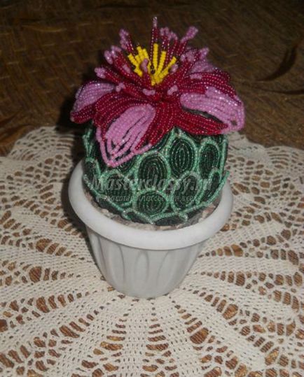 Blooming margele cactus cu mâinile (șirag de mărgele de cactus) Blooming cactus Bead propriile mâini