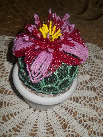 Blooming margele cactus cu mâinile (cactus din margele cu mâinile) Blooming cactus Bead propriile mâini