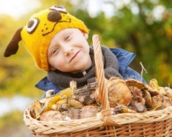 Copii despre ciuperci comestibile și otrăvitoare cu denumirile și descrierile