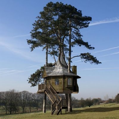 Treehouse - idei noi și vechi