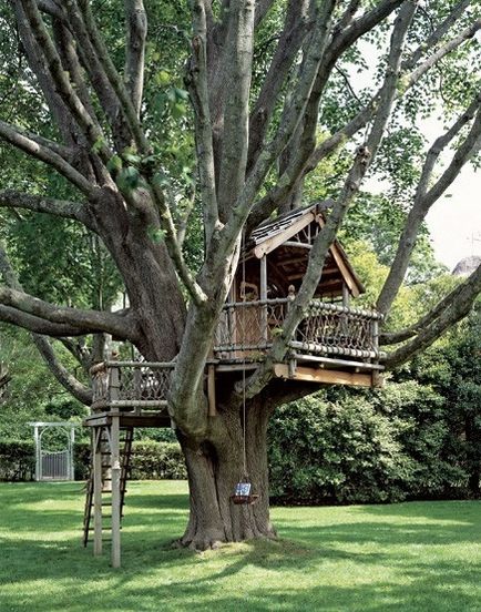 Treehouse - idei noi și vechi