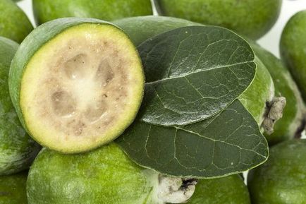 Fructe exotice, care pot fi cultivate pe pervaz lor
