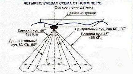 Sounders Echo pentru sfaturi de pescuit pentru a alege un model bun