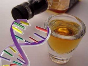 Enzimele descompun alcool în corpul numele principiului de funcționare, caracteristici genetice