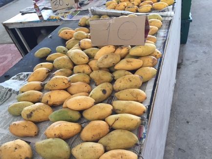 mango fructe - cum de a alege, cum pentru a curăța, utilizați mango pe prețul de mango în Pattaya (fructe) mango fructe - cum de a alege, cum pentru a curăța, utilizați mango pe prețul de mango în Pattaya
