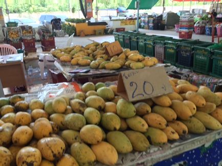 mango fructe - cum de a alege, cum pentru a curăța, utilizați mango pe prețul de mango în Pattaya