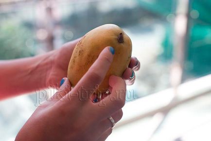 mango fructe - cum de a alege, cum pentru a curăța, utilizați mango pe prețul de mango în Pattaya