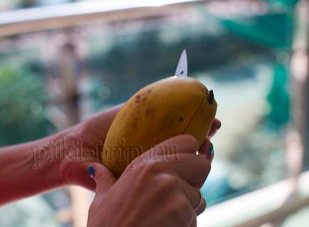mango fructe - cum de a alege, cum pentru a curăța, utilizați mango pe prețul de mango din Pattaya (selectați) mango fructe - cum de a alege, cum pentru a curăța, utilizați mango pe prețul de mango în Pattaya