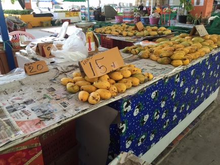 mango fructe - cum de a alege, cum pentru a curăța, utilizați mango pe prețul de mango în Pattaya