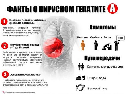 Hepatita B și ceea ce este și modul în care se transmite, simptome ale unei boli infecțioase, diagnostic și tratament al Botkin