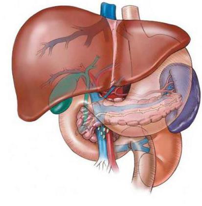 hepatobiliara