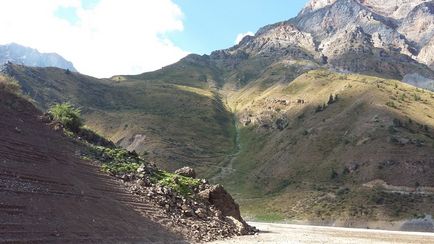 Să mergem la munte, unde, când, cu cine și de ce