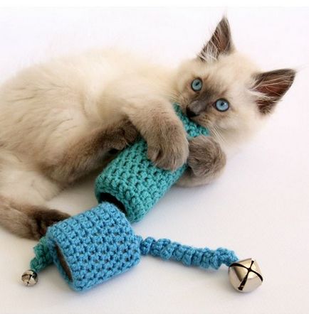 Jucărie pentru o pisica cu propriile sale mâini cele mai bune 50 de idei și opțiuni din fotografie