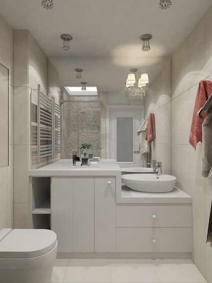 Interiorul o baie mică cu WC 83 fotografie idei de design