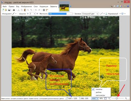 Modificarea dimensiunii imaginii (imaginea de afișare a originalului) Modificarea dimensiunii imaginii