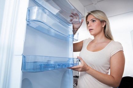 Cât de des aveți nevoie pentru a dezgheța câmpiei frigider și știu Frost