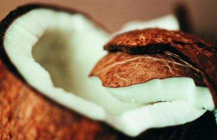 Cum pentru a curăța o nucă de cocos și cum să împartă deschide o nucă de cocos la domiciliu, ls (nuca de cocos) Cum pentru a curăța o nucă de cocos și cum să împartă deschide o nucă de cocos la domiciliu, ls
