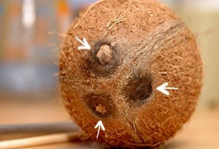 Cum se curata o nuca de cocos la domiciliu, cu ajutorul fondurilor disponibile