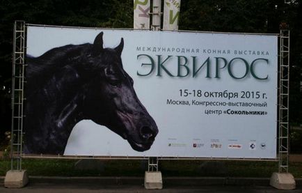 Cum se ajunge la centrul de expoziții Sokolniki descriere Sokolniki Exhibition Centre