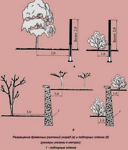 Ce arbuști pot fi plantate de-a lungul gardului
