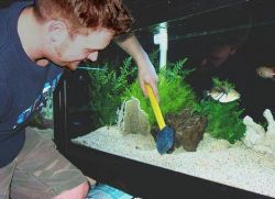 Cum pentru a curăța acvariu