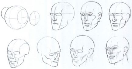 Cum de a desena un cap proporțiile umane ale capului și feței