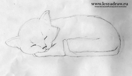 Cum de a desena o pisicuta etape creion