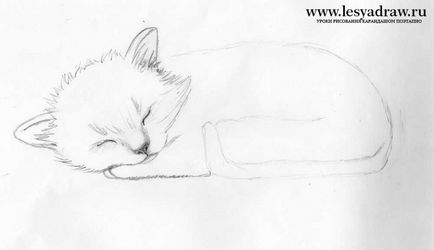 Cum de a desena o pisicuta etape creion