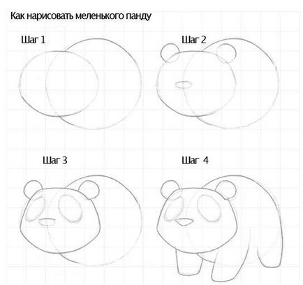 Cum să atragă un panda un stilou simplu, folosind fotografie