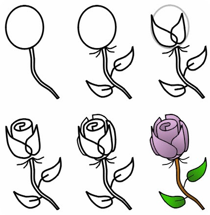 Cum de a desena un trandafir, desen lumea