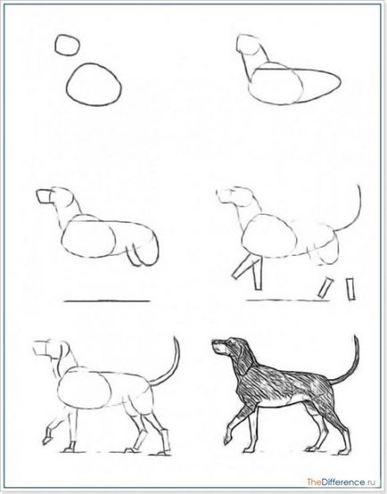 Cum de a desena un câine creion în etape