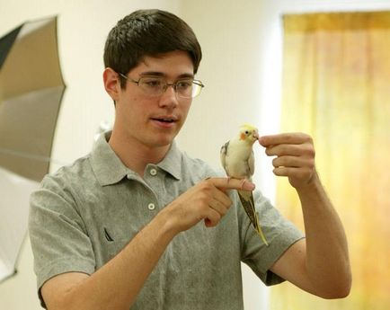 Cum de a preda un papagal pentru a vorbi sfaturi proprietarului papagalul