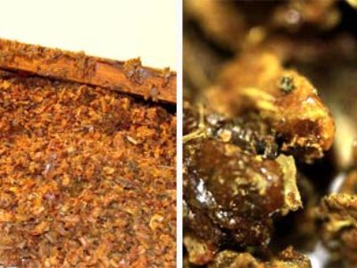 Cum se curata si se separe de propolis de impurități în casă