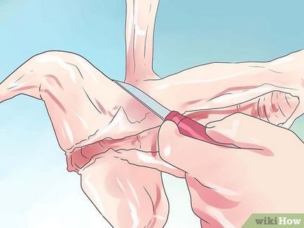 Cum de a jupui un iepure