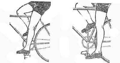 Cum de a regla bicicleta