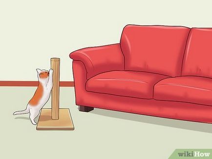 Cum se intarca pisica ascutit ghearele sale pe mobilă