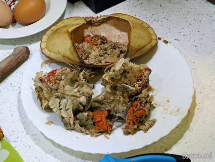 Cum de a găti crab, expertoza