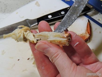 Cum de a găti crab, expertoza