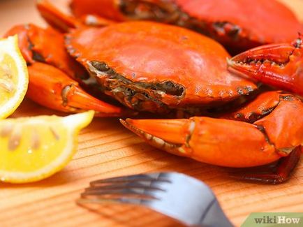 Cum de a găti crab (preparat) Cum de a găti crabi