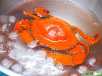 Cum de a găti crabi (crabi) Cum de a găti crabi