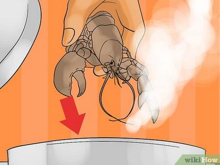 Cum de a găti homar