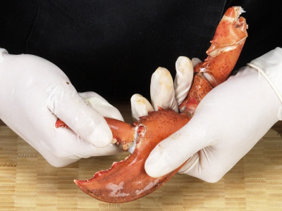 Cum de a găti homar pas cu pas ghid