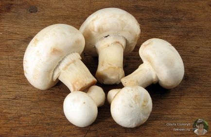 Cum de a găti ciupercile într-o tigaie delicios