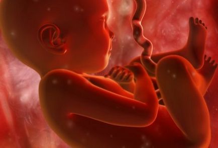 Cum este dezvoltarea copilului în uter de luni de zile