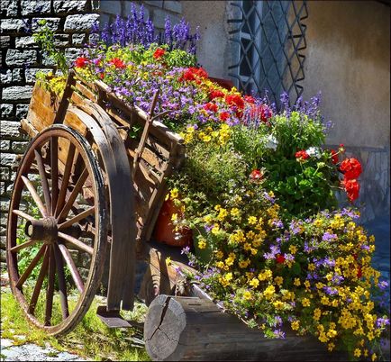 Cum să împartă grădină de flori în țară cu propriile lor mâini, ideea de un design frumos și decorarea de paturi de flori