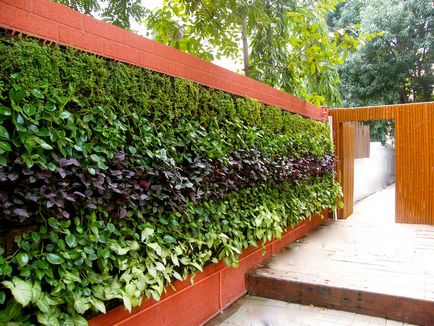 Cum să împartă grădină de flori la cabana cu propriile sale mâini, ideea unei frumoase paturi de design si decor (dacha) Cum să împartă grădină de flori în țară cu propriile lor mâini, ideea de un design frumos și decorarea de paturi de flori